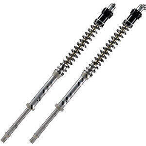 Cartuccia forcella per BMW R 1200 R LC Matris F20K coppia