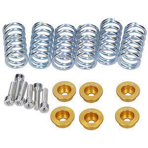 Molla frizione per Ducati Monster 1000 kit completo oro