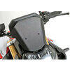 Carena per BMW F 900 R cupolino SW-Motech - Foto 2