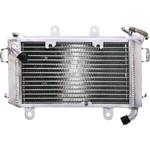 Radiatore motore per KTM Duke 200 -\'17 acqua
