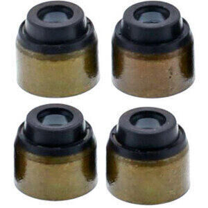 Valve stem oil seal Kawasaki KLX 250 kit