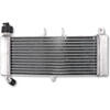 Refrigerador motor Aprilia RS4 125 agua - Fotos 2