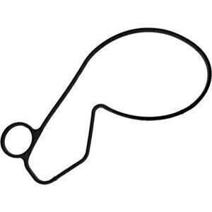 Water pump gasket KTM Duke 790