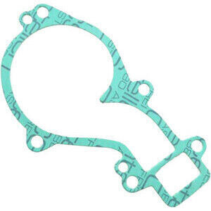 Water pump gasket KTM Duke 690