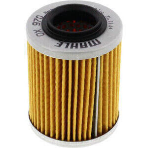 Oil filter Mahle OX970
