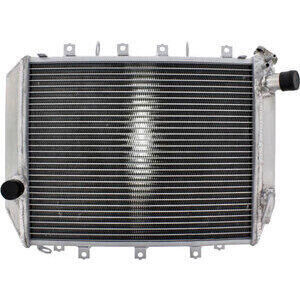 Radiatore motore per Kawasaki ZX-12R \'02- acqua