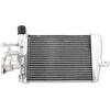 Radiatore motore per BMW R 1200 GS '13- acqua grigio destro - Foto 2