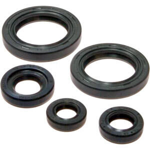 Motor Simmerring Satz KTM Duke 125 R -\'12 Athena