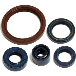 Motor Simmerring Satz Husqvarna SM 450 Athena