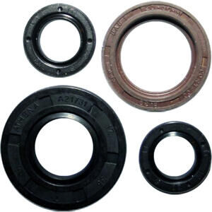 Motor Simmerring Satz Aprilia RS4 125 -\'16 Athena
