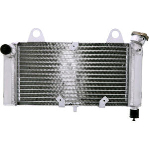 Radiatore motore per Yamaha MT-03 acqua grigio