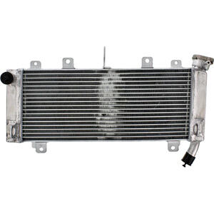 Radiatore motore per Kawasaki Z 650 -'19 acqua grigio