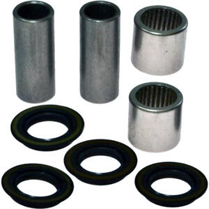 Kit revisione forcellone posteriore All Balls 28-1120