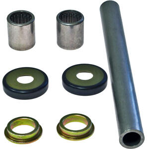 Kit revisione forcellone posteriore All Balls 28-1054