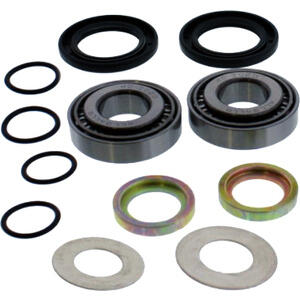 Kit revisione forcellone posteriore All Balls 28-1059