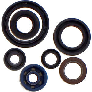 Kit paraoli motore per Yamaha WR 250 F '17- Athena