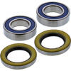 Radlagersatz mit Simmerringen All Balls 25-1750