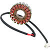 Statore per Ducati Monster 107mm Rick's Motorsport Electric