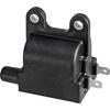 Bobina accensione per Triumph Thunderbird 900 Emgo