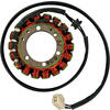 Statore per Triumph Bonneville Rick's Motorsport Electric