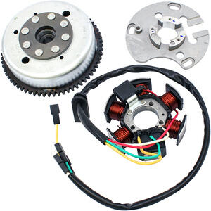 Statore per Aprilia RS 50 '06-