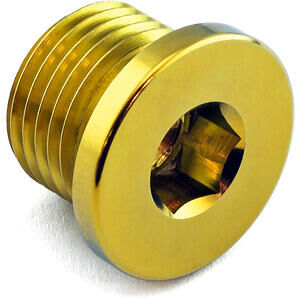 Bullone olio M16x1.5 magnetico Pro Bolt titanio oro