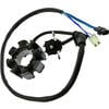 Statore per Honda CRF 250 R -'09 JMP