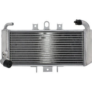 Refrigerador motor Yamaha FZS 600 Fazer agua
