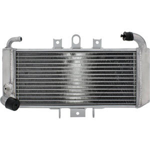 Radiatore motore per Yamaha FZS 600 Fazer acqua