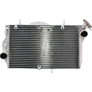 Radiatore motore per Honda CBR 1100 XX \'01- acqua