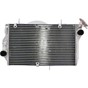 Radiatore motore per Honda CBR 1100 XX '01- acqua