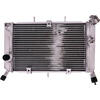 Radiatore motore per Yamaha XJ6 acqua grigio