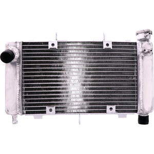 Refrigerador motor Yamaha FZ6 600 -\'06 agua