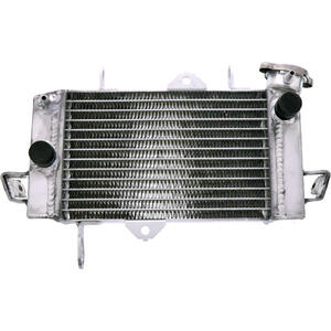 Radiatore motore per Yamaha YZF-R 125 -'11 acqua grigio