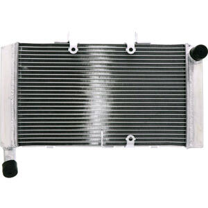 Radiatore motore per Honda CBR 600 F '11- acqua grigio