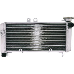 Radiatore motore per Honda CBF 600 -\'07 acqua