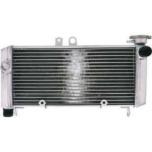 Refrigerador motor Honda CBF 600 -'07 agua