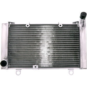 Radiatore motore per Honda CBF 1000 acqua