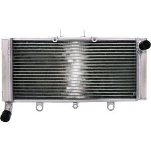 Radiatore motore per Honda CB 1300 acqua grigio