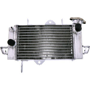 Radiatore motore per Yamaha YZF-R 125 '12- acqua grigio