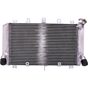 Radiatore motore per Kawasaki Z 900 -\'19 acqua