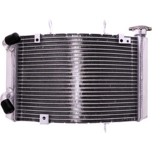 Radiatore motore per Triumph Street Triple 675 '13- acqua grigio