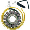 Statore per Honda CBR 1000 RR '08-'09 Rick's Motorsport Electric