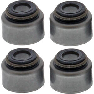 Gommino tenuta olio valvola per BMW G 650 GS '11- kit