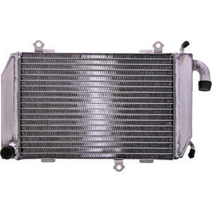 Motorkühler Honda GL 1800 Goldwing \'06-\'17 wasser links