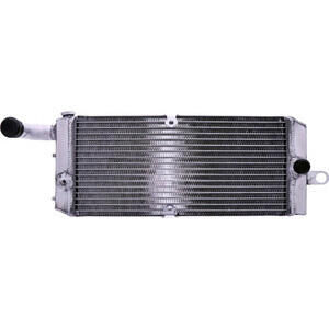 Radiatore motore per Honda VT 750 C Shadow \'97-\'03 acqua