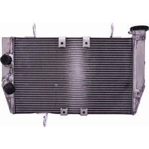 Radiateur moteur Ducati Multistrada \'15- eau