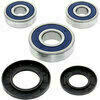 Kit de rodamientos de rueda All Balls 25-1386