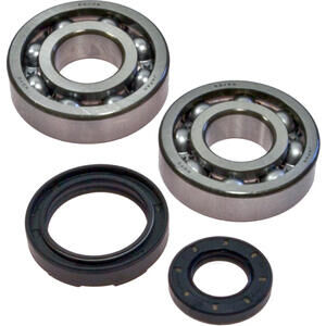 Kit de roulements de carter moteur Husqvarna WR 125 \'00-\'14 All Balls