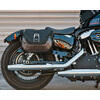 Kit borse moto per Harley-Davidson Sportster '04- SW-Motech Legend Gear - Foto 3